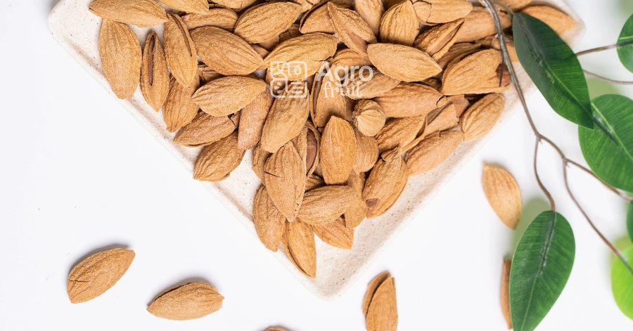 Wholesale Almonds from Uzbekistan — High-Quality Nuts from the Producer
