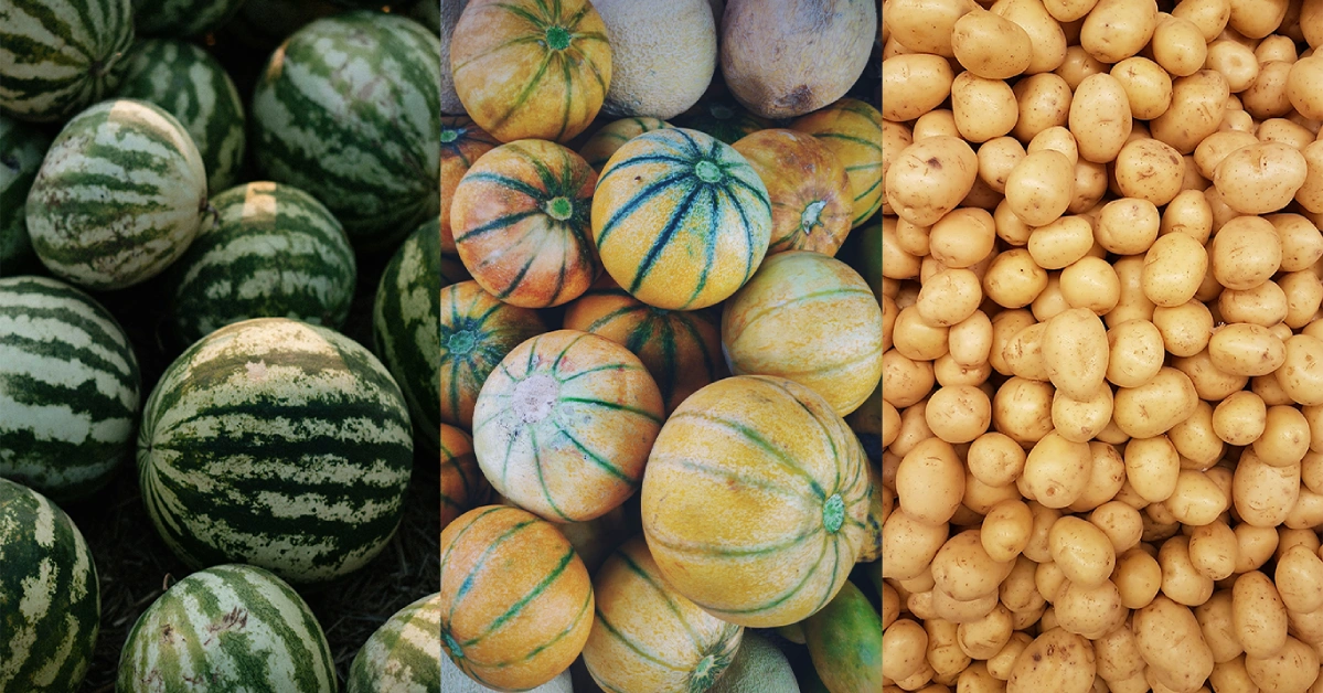 Seasonal Products: Watermelons, Melons, Vegetables — How to Place a Custom Order