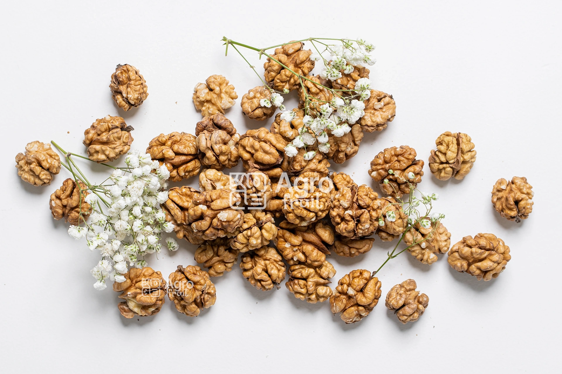 来自生产商的核桃仁批发— 高品质坚果